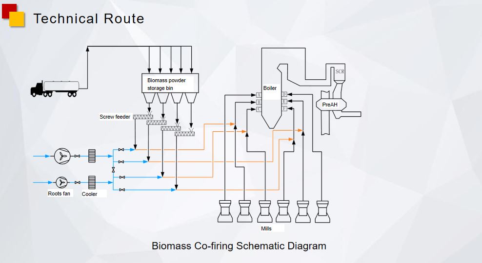 biomass route